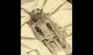 The Incredible Story Of The Two Fossilized Aliens That Were Found In Peru